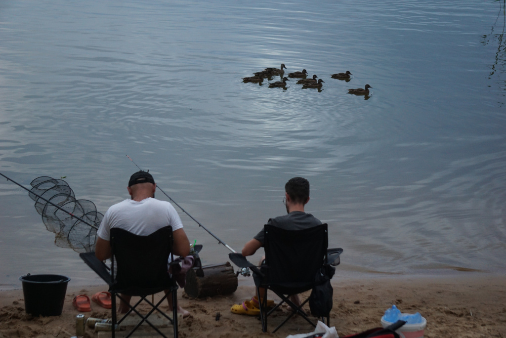 DSC02816.JPG DSC02816.JPG